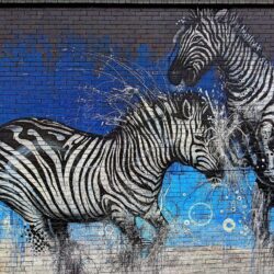 Picture Zebras 2 Graffiti Wall Animals