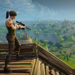 Epic Games receives scathing legal rebuke from 14