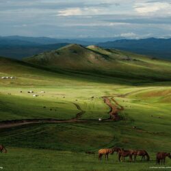 Mongolia Picture