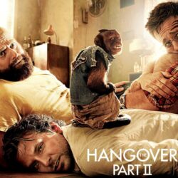 Hangover Part 2 Wallpapers