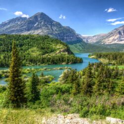 Amazing green forest in Glacier National Park wallpapers