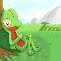 Pokemon Treecko. by Ppoint555