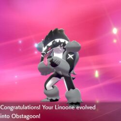 How to evolve Galarian Linoone into Obstagoon in Pokemon