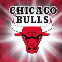 Bulls Wallpapers