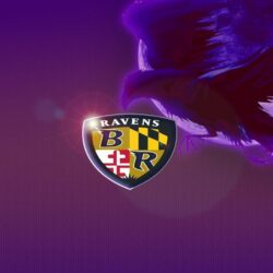 1000+ image about Baltimore Ravens
