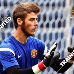 David De Gea Wallpapers