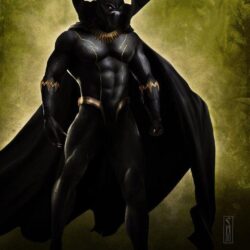 1000+ image about Black Panther