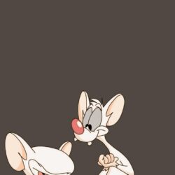 Free HD Pinky and the Brain Phone Wallpaper…4485
