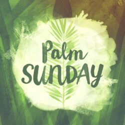palm sunday image