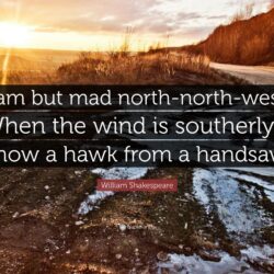 William Shakespeare Quote: “I am but mad north