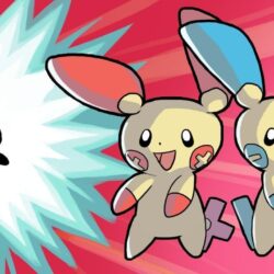 Pokemon Minun And Plusle plusle and minun evolve?!