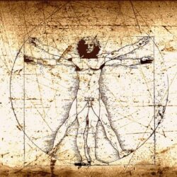Vitruvian Man Leonardo da Vinci wallpapers