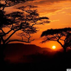 free wallpapers Serengeti National Park Sunset Tanzania 1024 x 768