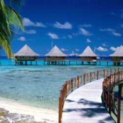Walkway to Paradise French Polynesia wallpapers
