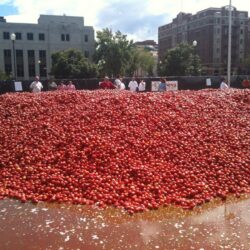 Food Fight, Spanish Style