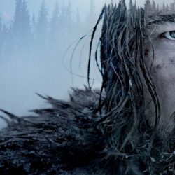 The Revenant Wallpapers High Resolution and Quality Download