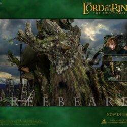 Movies: The Lord of the Rings: The Two Towers, desktop wallpapers nr