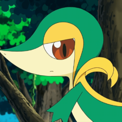 BW007: Snivy Plays Hard to Catch!