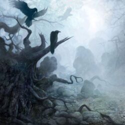 cg tree and crows wallpapers
