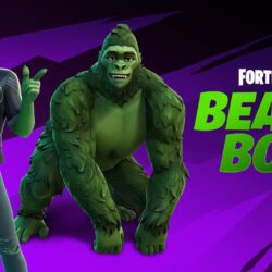 DC’s Beast Boy Unites with Raven in Fortnite