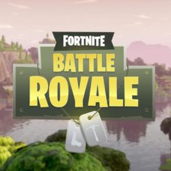 PUBG creators are unhappy with Fortnite: Battle Royale, considering