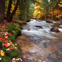 Babbling Brook, United States, New Hampshire, White Mountains