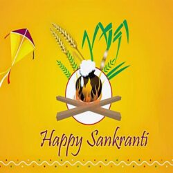 Happy Makar Sankranti Wallpapers Image Free Download