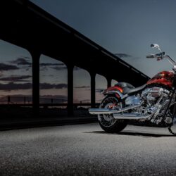49 Harley Davidson Image for Free
