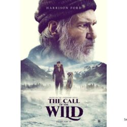 The Call of the Wild Movie Wallpapers