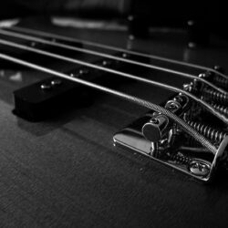 Wallpapers For > Bass Guitar Wallpapers