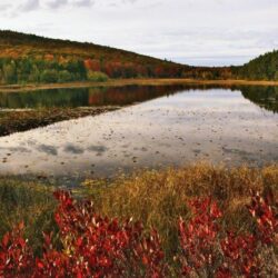Breakneck Pond, Acadia National Park, Maine HD desktop wallpapers
