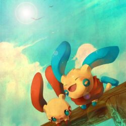 25 best plusle and minun image