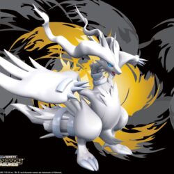 Reshiram HD Wallpapers