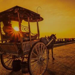 Horse Cart In The Sunset