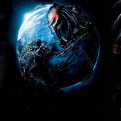 alien vs predator movie wallpapers / movies backgrounds