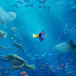 Finding Dory Wallpapers