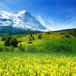 Wallpapers Switzerland, 5k, 4k wallpaper, mountains, meadows