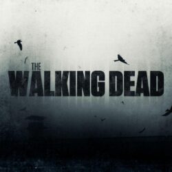 The Walking Dead Wallpapers by iNicKeoN