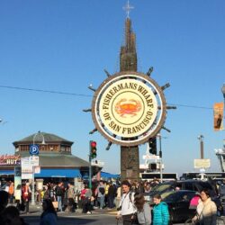 Pier 39 Has A Little Something For Everyone