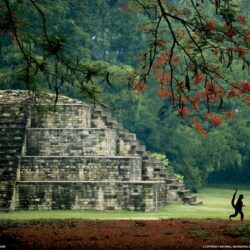 Maya Tomb, Honduras