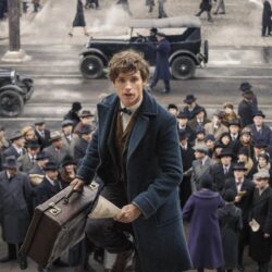 Fantastic Beasts and Where to Find Them HD Desktop Wallpapers