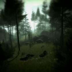 Slender: The Arrival – Wallpapers Gallery
