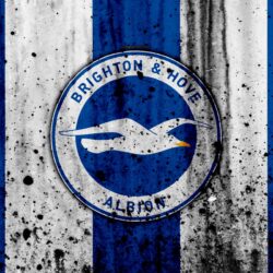Download wallpapers FC Brighton and Hove Albion, 4k, Premier League
