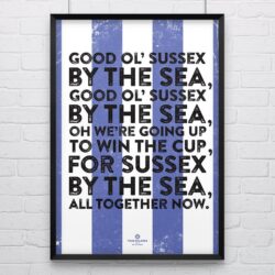 brighton and hove albion ‘sussex’ football song print by true