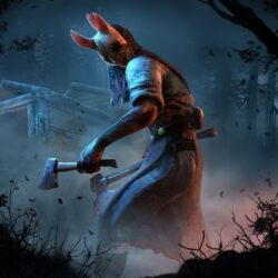 Image result for dead by daylight wallpapers the huntress