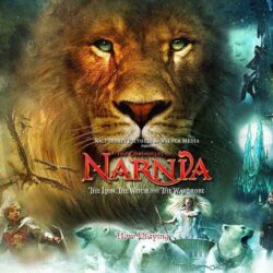 Narnia 8