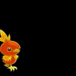 Torchic