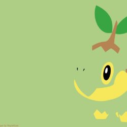 387 Turtwig