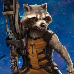 Rocket Raccoon 2014 HD desktop wallpapers : High Definition