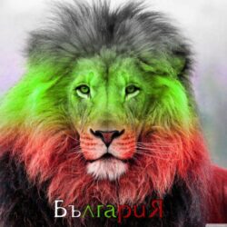 Bulgarian Lion 5